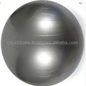 TUV GS Yoga Ball Anti-burst PVC Fitness Exercise Gym Ball