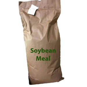 soybean