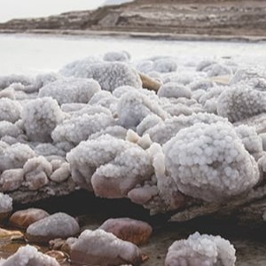 BULK MUD & Salt Dead Sea products