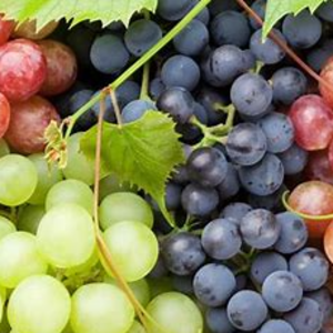 Grapes