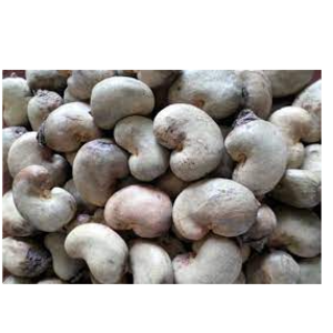 RAW CASHEW NUTS