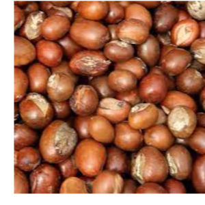SHEA NUTS