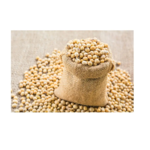 Soybeans