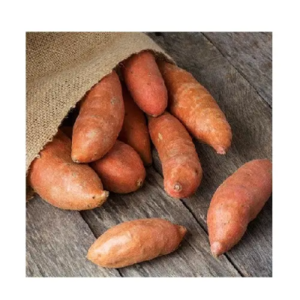 Sweet potato