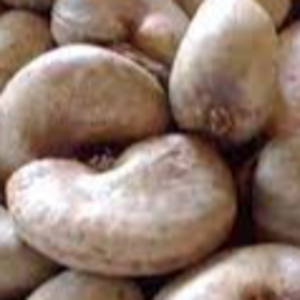 In shell Cashew Nuts