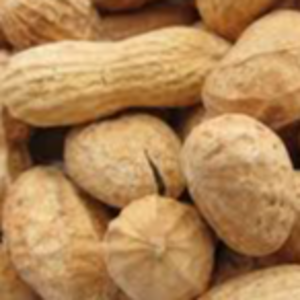 Peanuts & Groundnuts