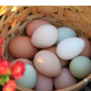WHITE/ BROWN EGGS BOTH ORGANIC AND NON-ORGANIC