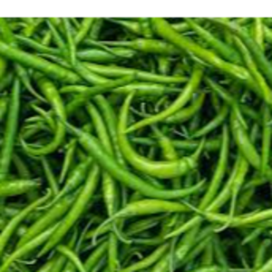 GREEN CHILLI