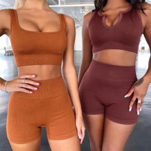 Seamless Gym Sport Yoga Fitness Leggings Women Active Wear Set