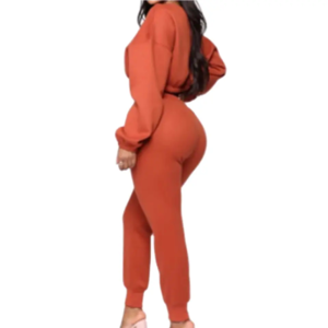 Women 2 Piece Crop Top Hoodie Casual Set