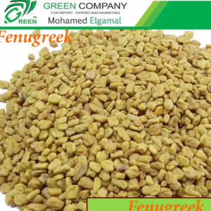 Egyptian Fenugreek Seeds