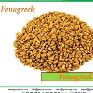 Egyptian Fenugreek Seeds