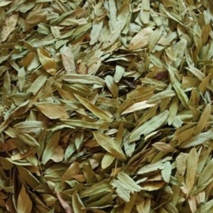 Senna Leaves