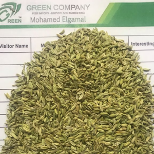 Fennel From Egypt