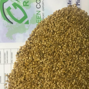 Golden SesamSeed alcamel