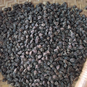 Moringa seeds with less