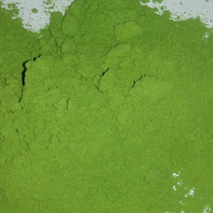 Drumstick powder