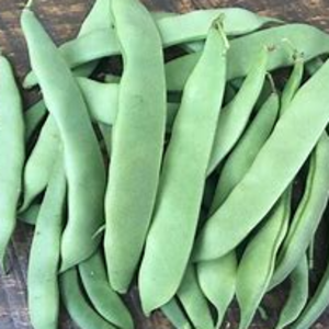 BEANS   roma