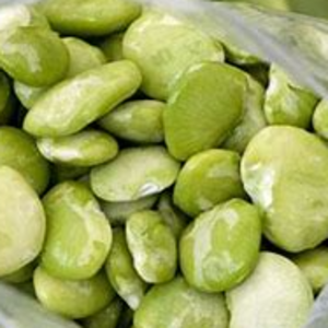 fava BEANS