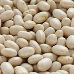 navy beans