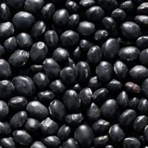 black  beans