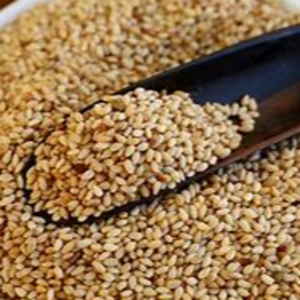 sesame seed