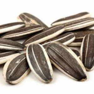 sunflower seed