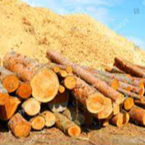 Logs & Saw Dust