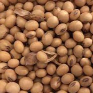 MIDLAND SOYA