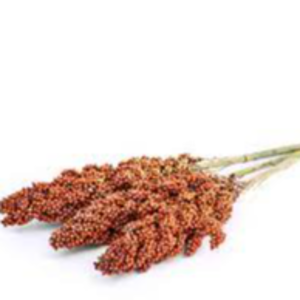 MIDLAND SORGHUM BEVERAGE