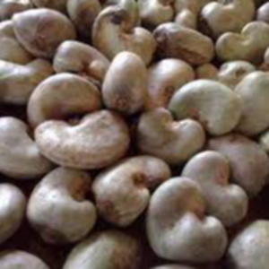 Cashew nut