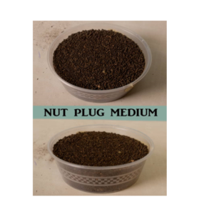 Nut Plug Medium