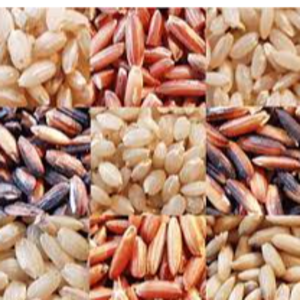 Ceylon Rice