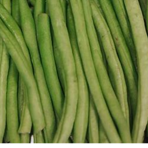fine beans