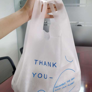 PP Non Woven Eco-Friendly Shopping Bag Reusable Packaging