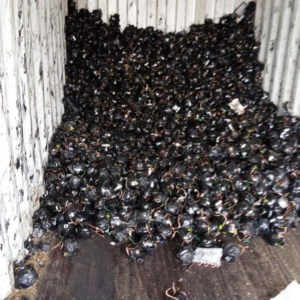 AC/Fridge Compressor Scrap Supplier with free shipping