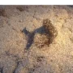 Granular sulver