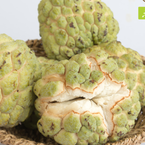 Fresh Custard Apple Fruits