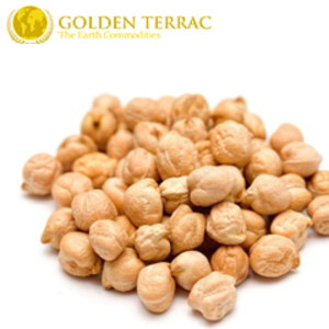 White Chickpeas