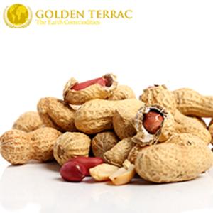 Peanuts