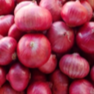 Indian Onion (Bawang Merah Besar)/ Indian Red Onion