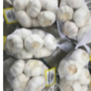 Pure White Garlic (Bawang Putih)