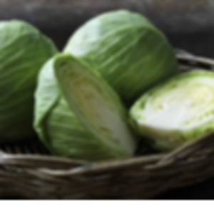 Round Cabbage