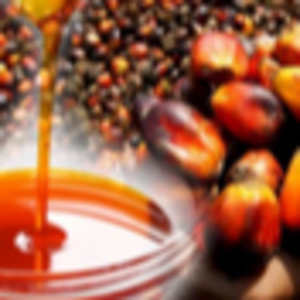 RBD Palm Oil (CP8,CP10)