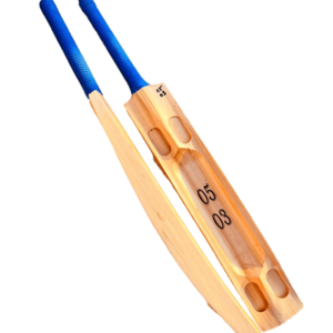 Kshmir willow cricket bat