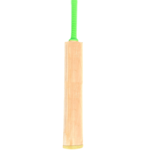 Kshmir willow cricket bat