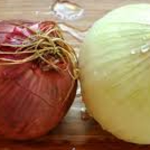 Top quality red onion factory direct supply fresh onion low price export