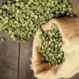 Green Coffee Bean from Farm (20kg/Bag)