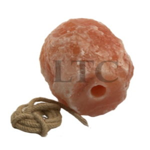 Animal Licking Salt