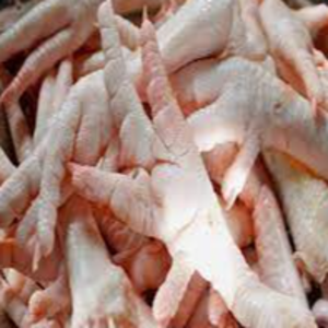 EXPORT GRADE HALAL FROZEN WHOLE CHICKENCHICKENFEET CHICKEN PAW